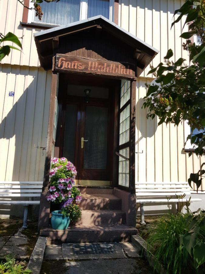 Haus Waldblick Hotel Hohegeiss Exterior photo